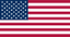 USA flagg